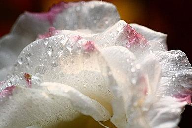 《索尼克：起源Plus》面向各平台公布 6月23日推出